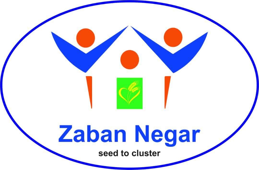 آکادمی  زبان نگار